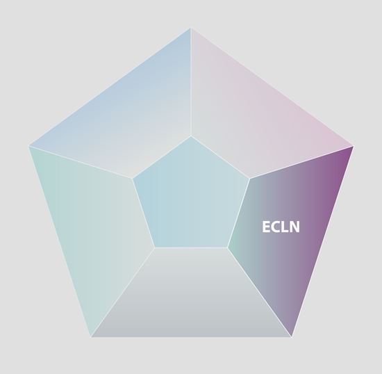 Equity Credit Linked Strategy